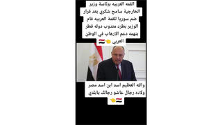 Fact Check: Egypt Foreign Minister Did NOT Remove Qatar Representative From Jeddah Summit