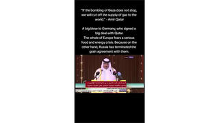 Fact Check: Video Does NOT Show Emir Of Qatar Threatening To Cut Off Natural Gas Supply Because Of Israel Bombing Gaza